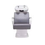 DIR Shampoo Backwash Unit Beckman - 7198 Salon Equipment Dream In Reality 