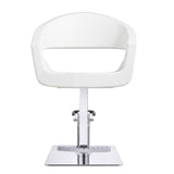 DIR Styling Chair Gama-1131 Salon Equipment Dream In Reality 