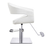 DIR Styling Chair Gama-1131 Salon Equipment Dream In Reality 