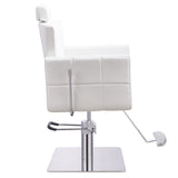 DIR All Purpose Reclining Chair Tetris-1294 Salon Equipment Dream In Reality 