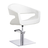 DIR Styling Chair Gama-1131 Salon Equipment Dream In Reality 