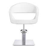 DIR Styling Chair Gama-1131 Salon Equipment Dream In Reality 
