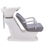 DIR Shampoo Backwash Unit Beckman - 7198 Salon Equipment Dream In Reality 