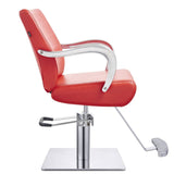 DIR Styling Chair Meteor-1198 Salon Equipment Dream In Reality 