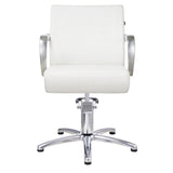 DIR Styling Chair Meteor-1198 Salon Equipment Dream In Reality 