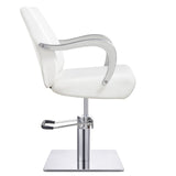 DIR Styling Chair Meteor-1198 Salon Equipment Dream In Reality 