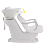 DIR Shampoo Backwash Unit Beckman - 7198 Salon Equipment Dream In Reality 