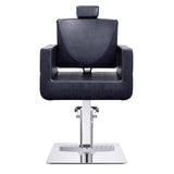 DIR All Purpose Reclining Chair Tetris-1294 Salon Equipment Dream In Reality 