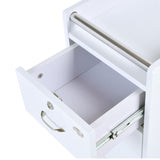 DIR Trolley Cart Pedi-Mani 5777 Salon Equipment Dream In Reality 