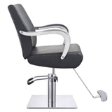 DIR Styling Chair Meteor-1198 Salon Equipment Dream In Reality 