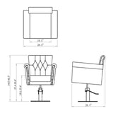 DIR Styling Chair Lion-1852 Salon Equipment Dream In Reality 