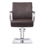DIR Styling Chair Meteor-1198 Salon Equipment Dream In Reality 