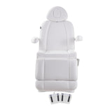 DIR Facial Beauty Bed & Chair Ink - Electrical Hand and Foot Remote-8103 Salon Equipment Dream In Reality 