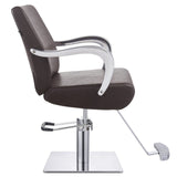 DIR Styling Chair Meteor-1198 Salon Equipment Dream In Reality 