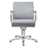 DIR Styling Chair Meteor-1198 Salon Equipment Dream In Reality 