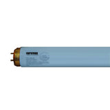 Wolff Inferno F71 100w Bi-Pin Tanning Lamps