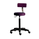 Salon Ambience CS/400 Gilera Stool w/Backrest